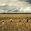 ЗАВТРА