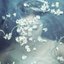 Like A Flower - The 1st Mini Album