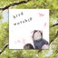 bird worship
