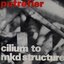 Cilium To MKD Structure