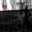 Impious Mysterial Hymn