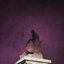 Fallen Crown - Single