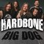 Big Dog