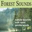 Forest Sounds: Soft Breezes, Songbirds, Rains, Sounds of Nature, Echoes of Nature Sounds