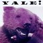 Yale!