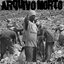 Falsa Democracia