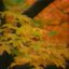 autumnal gloam
