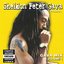 Sheldon Peter Gava Presents: Gava Mix, Vol. 1
