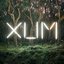 XUM