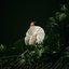 Empire - Single