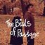 The Birds Of Passage