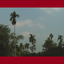 Avatar de dsrtext