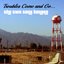 Troubles Come and Go
