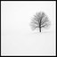 The Tree - Single