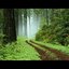 The Way