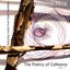 The Poetry of Collisions, Vol. 2