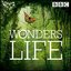 Wonders of Life (Original Television Soundtrack)