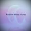 Ambient Whale Sounds