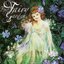 The Fairy Garden