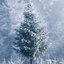 Carol of the Bells