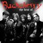 The Best of Buckcherry [Explicit]