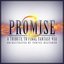 Promise: A Tribute to Final Fantasy VIII