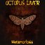 Metamorfosis