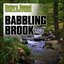 Babbling Brook (Nature Sounds)