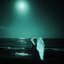 swan