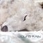 Wolf's Rain Original Soundtrack 1