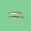 Long Sardine x Kids
