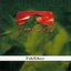 Tutl 2000 - Folk/Ethnic