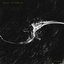 Tyed - Single