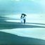 海岸を下って