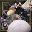 Said Too Much - Single
