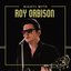 Nights with Roy Orbison