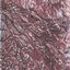 The Great Bloodletting of the Dragonbeast Diabolism