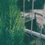 Come partire in un giorno di primavera