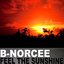 Feel The Sunshine