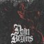 Pain Begins - Single