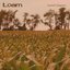 Loam