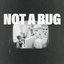 Not A Bug