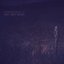 Night Scenes [Rekonstrukt-1]