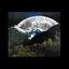 Mountain Swallower
