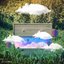 Dear My Dear - Single