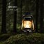 The Lantern Lighter