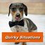 Quirky Situations