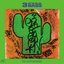 The Cactus Revisited