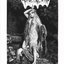 The Witches of Hoia Baciu