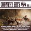 Country Hits Vol.1